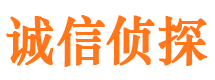 岳塘婚外情调查取证